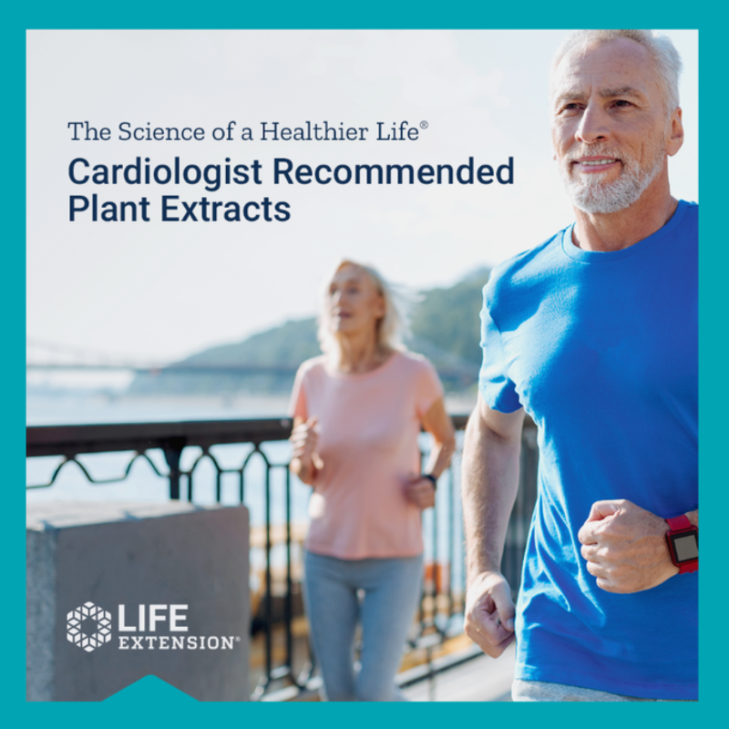LifeExtension's tweet photo. In addition to new published studies, cardiologist @drjkahn
observed reduced #arterialplaque in patients taking French maritime #pinebark and Centella asiatica. Check out the research here: