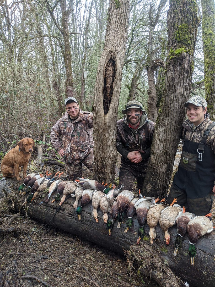 TACTICALFOWLNW's tweet photo. @Britt_Jill_ https://t.co/MoLSeStc6M