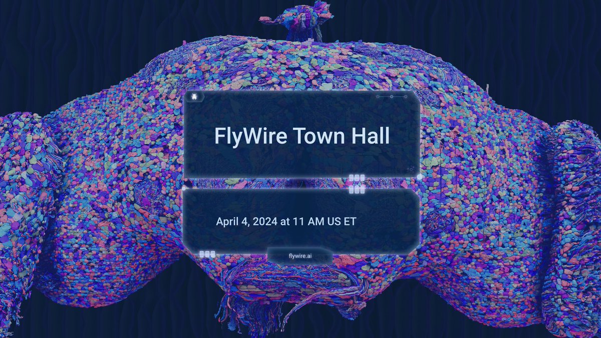 One week until the next FlyWire town hall. Get an update on the connectome paper package and be a part of the launch of the next dataset! RSVP: docs.google.com/forms/d/e/1FAI…