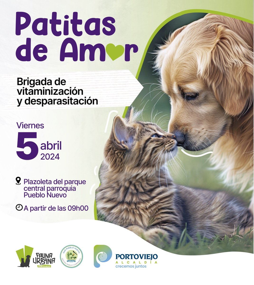 ¡Atención Pueblo Nuevo! Demuestra tu amor por tu hijo de 4 patitas.