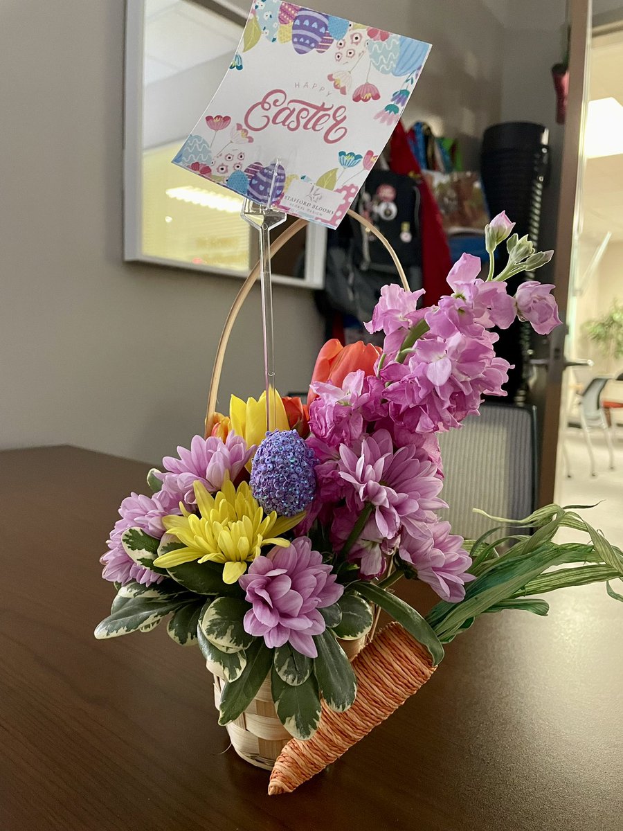 StaffordMSD Libraries (@smsdlibraries) on Twitter photo This month’s Stafford FFA arrangement. Happy Easter! #StaffordFFA #FallFloralArrangement <a href="/SMSDHigh/">Stafford High School</a> This month’s Stafford FFA arrangement. Happy Easter! #StaffordFFA #FallFloralArrangement <a href="/SMSDHigh/">Stafford High School</a>
