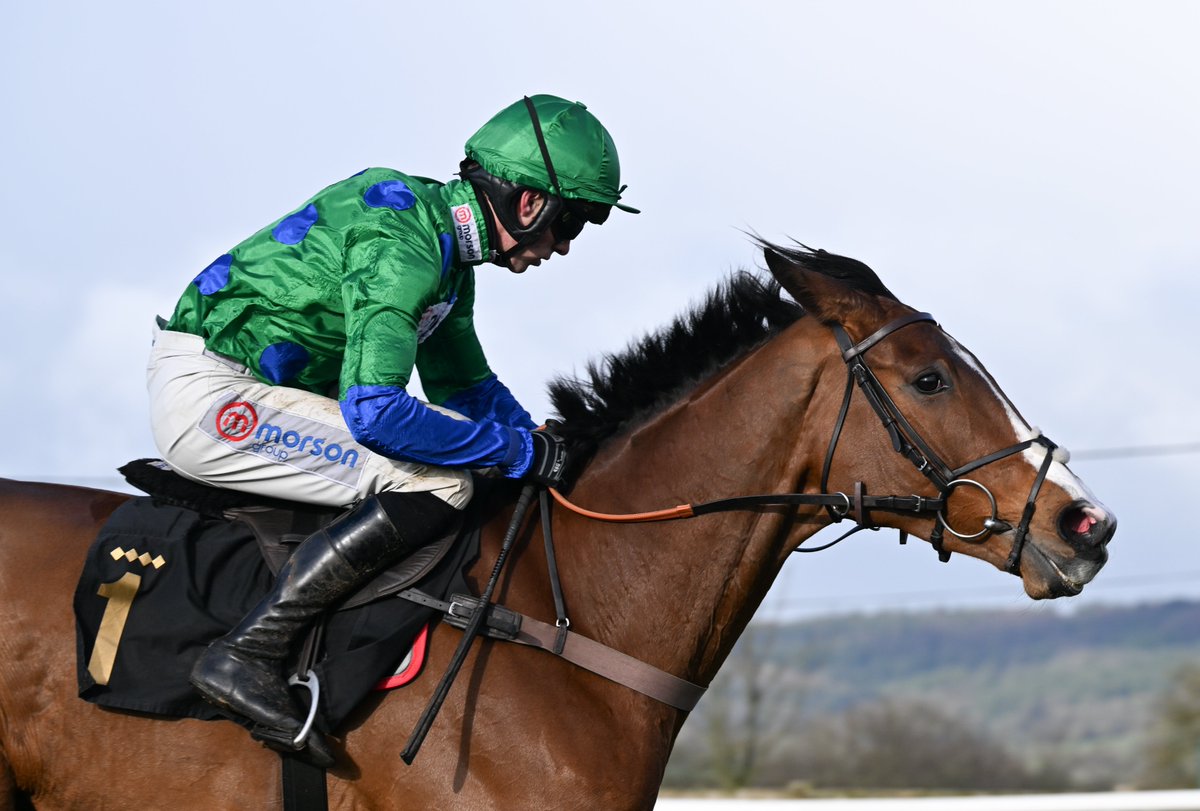 Photos from @wincantonraces yesterday can now be viewed on my website: francescaaltoft.co.uk/wincanton-27th… Congratulations to winning connections.