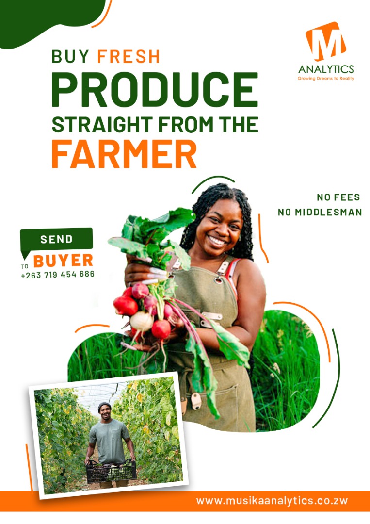 MusikaAnalytics's tweet image. Get All Your Fresh Farm Produce on Musika Analytics

No Fees
No Middlemen 
Over 10 000 Ready Farmers
Just One Click 

Send The Word *BUYER* to 0719454686