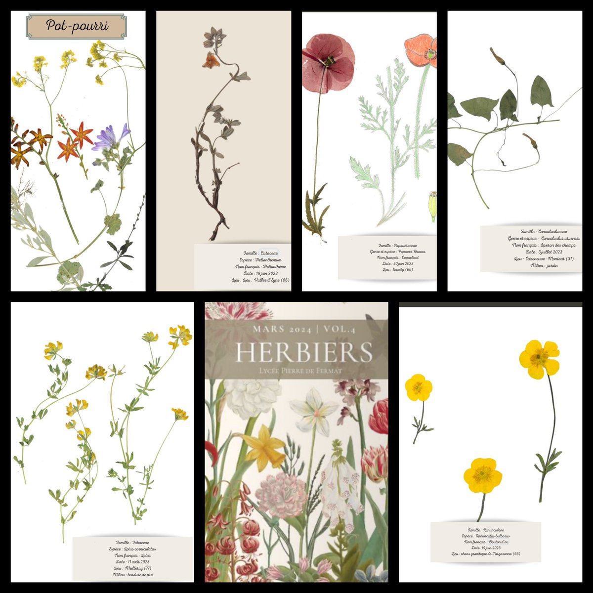 C’est le printemps! Retrouvez la quatrième édition de l’herbier numérique des #BCPST du <a href="/LyceeFermat/">Lycée Pierre de Fermat</a> .

calameo.com/books/00612055…