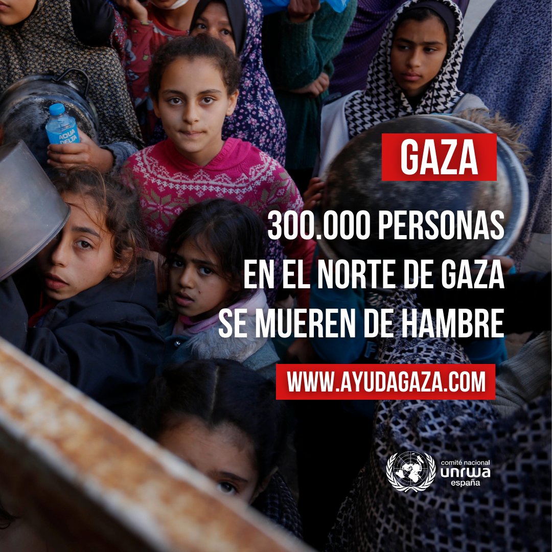 300.000 personas en el norte de #Gaza se mueren de hambre. La situación es más insostenible cada día que pasa. Por favor, si puedes, colabora: ayudagaza.com
