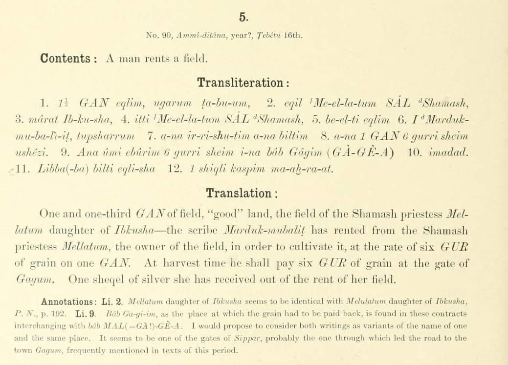 A man rents a field

The Babylonian Expedition of the University of Pennsylvania. Series A: Cuneiform texts - vol.06 - 90