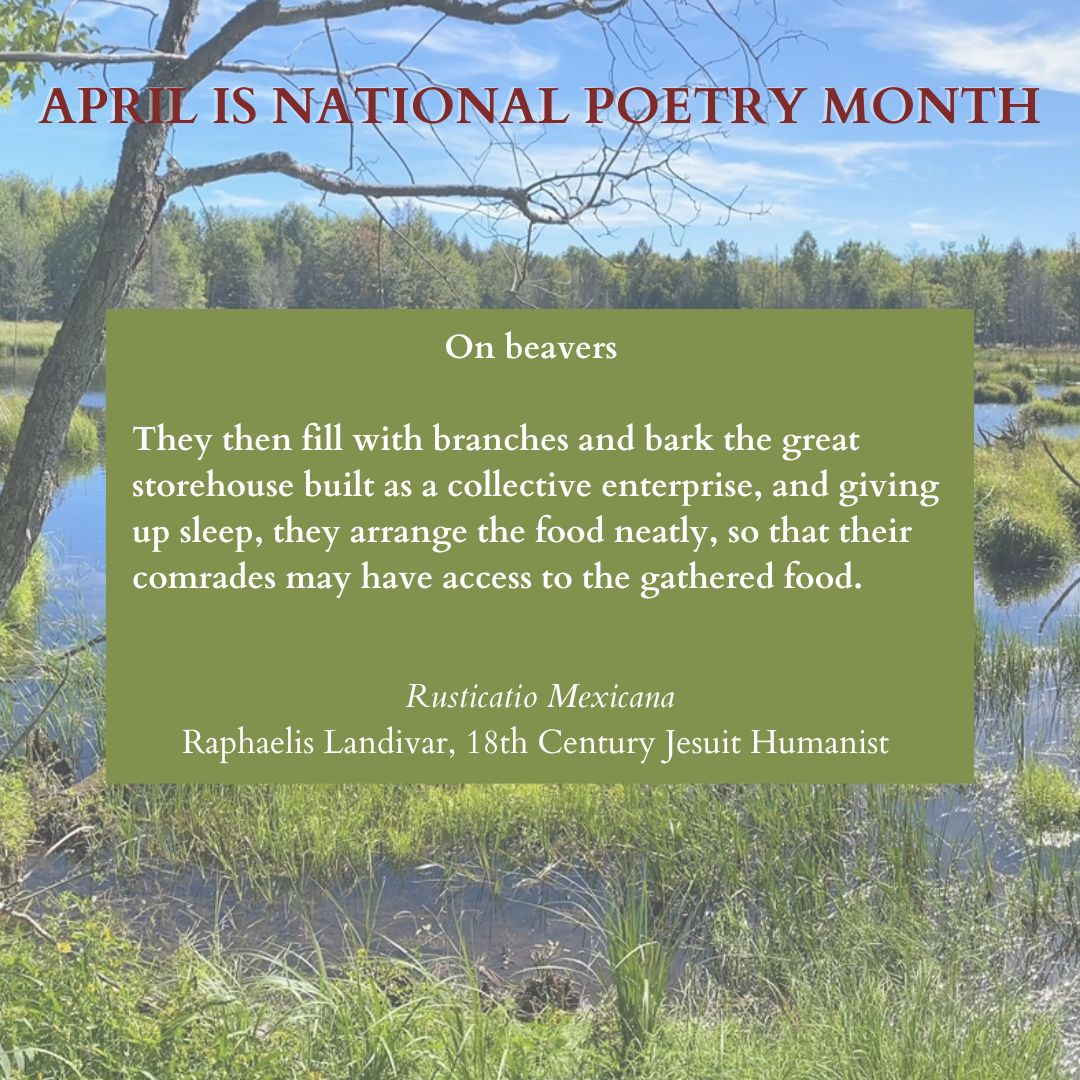 In Beaverland I wrote about the 18th-century Mexican Jesuit humanist, Rafael Landivar, who believed that beavers could make us better humans!  I think he was onto something. April is National  Poetry Month – enjoy re-discovering those poems you have always loved reading.