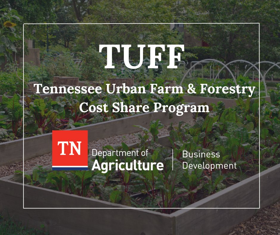 Cost share funding will increase production for farms & forestry-focused small businesses & increase access to nutritious food in TN’s urban areas. TDA is announcing the second round of recipients for the TUFF cost share program.tn.gov/agriculture/ne…
