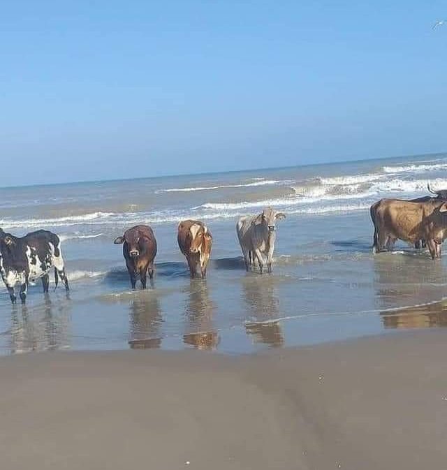 Las playas en El Salvador 😎