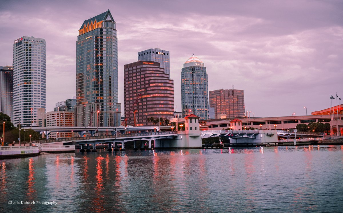 KubeschLeila's tweet image. I took the Sunset Board ride, but it was gray. Eventually, it turned pink. It was serene despite the windy ride.
#Tampa #TESOL2024 #EnglishLanguageProgram #gratitude #photography