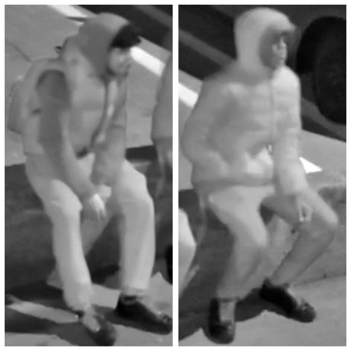 Ricardo Araujo tweet media