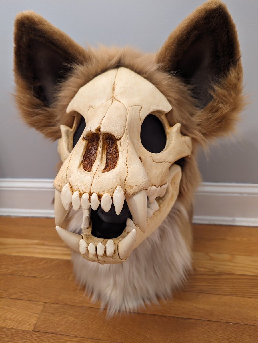 Skull Hyena Partial - $5000 + s/h Comes with head, hands, tail and arm sleeves! DM me to buy or purchase here: thedealersden.com/listing/skull-… #fursuitforsale #furry #fursuit