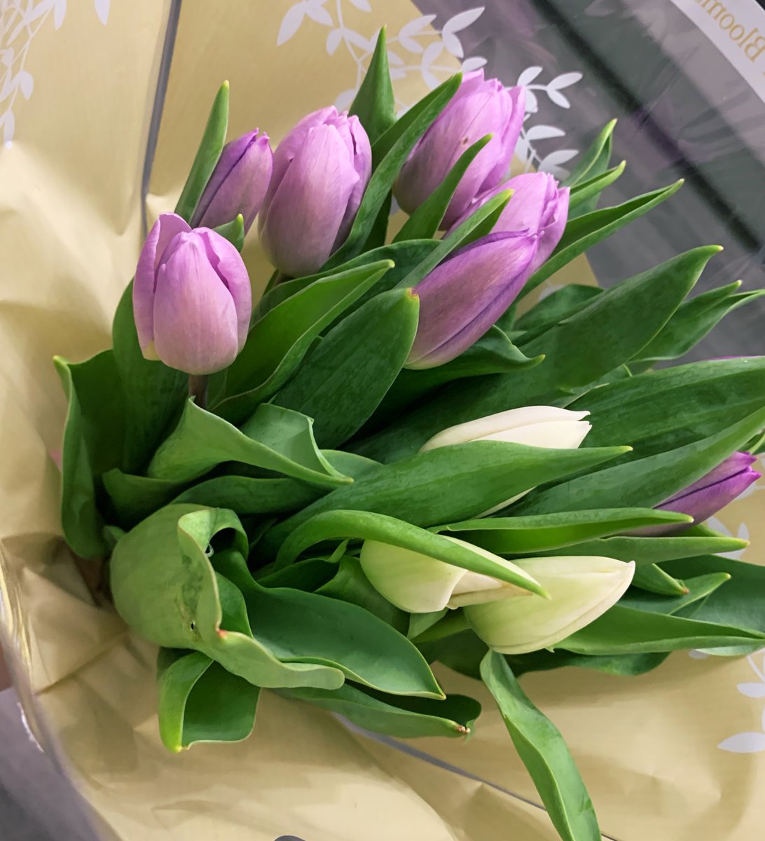 I was handed this gorgeous bunch at hometime today 🤍 A lovely way to end a wonderful term. #Grateful