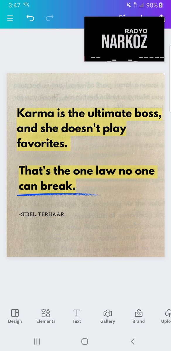 sibelterhaar's tweet image. #quot