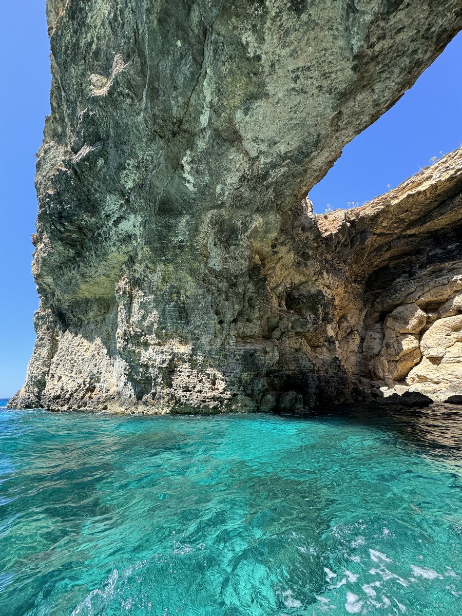 Caeshoot tweet media