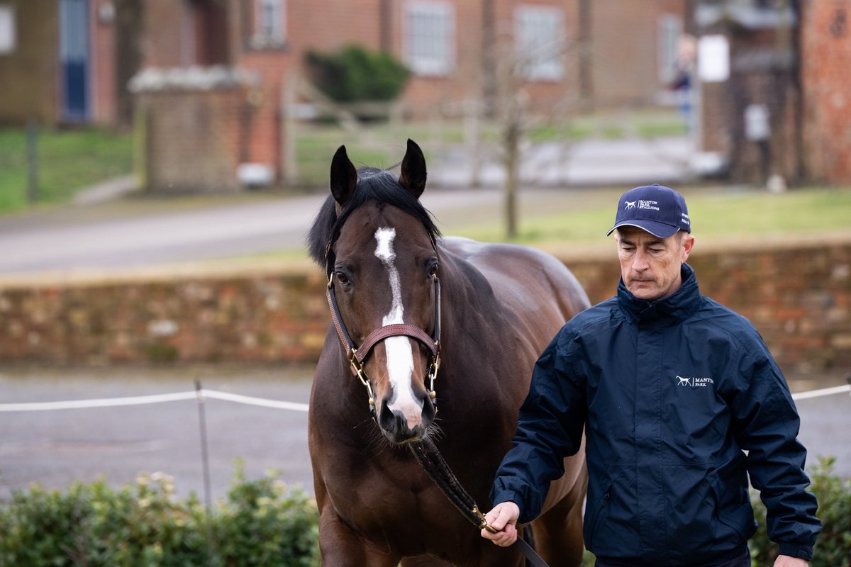 🥇Son of ADVERTISE, SILVER TRUMPET, winning on the bounce for breeders Mickley Stud & Mr D Willis 👏 👏 @johnsonhoughton @bishopcharlie12