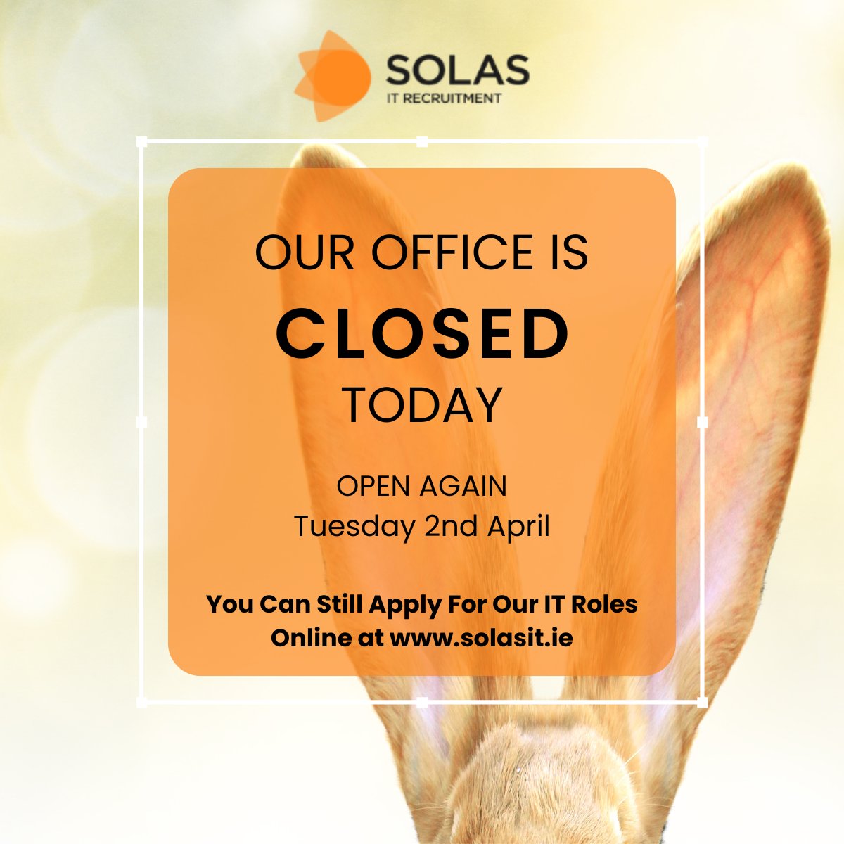 it_solas tweet picture