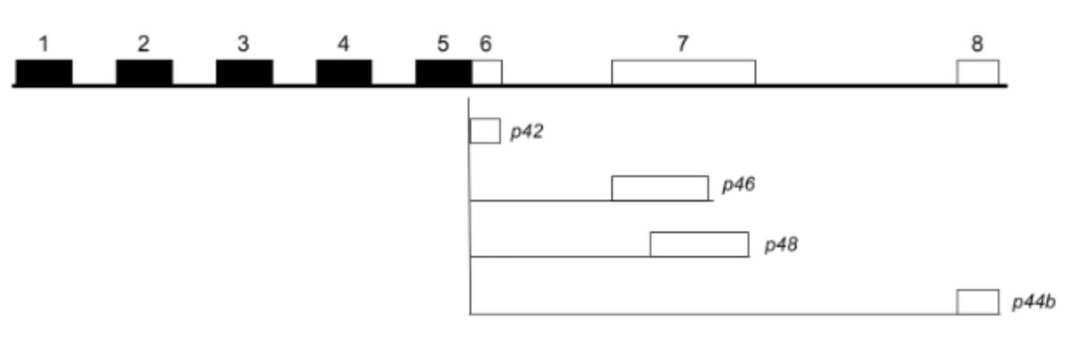 Lior Pachter tweet media
