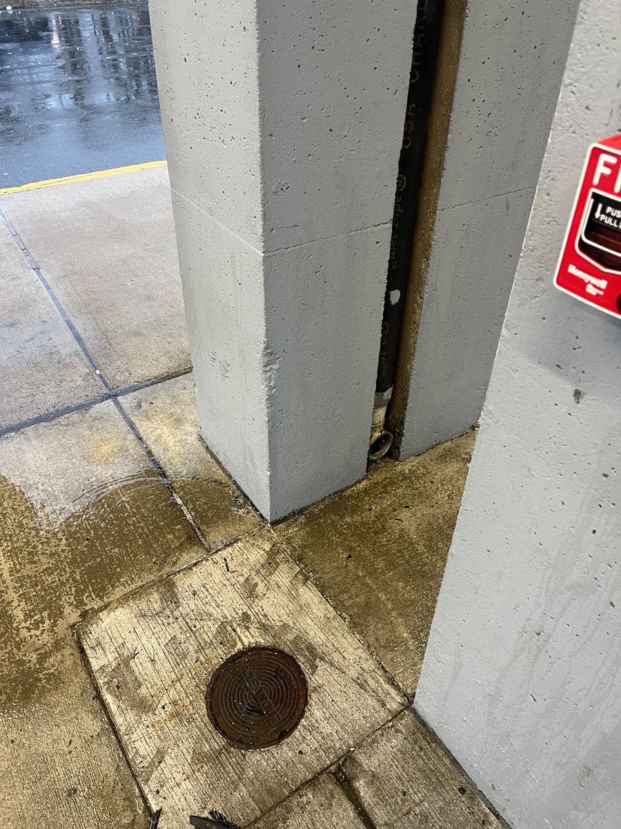 Ian Moriarty tweet media