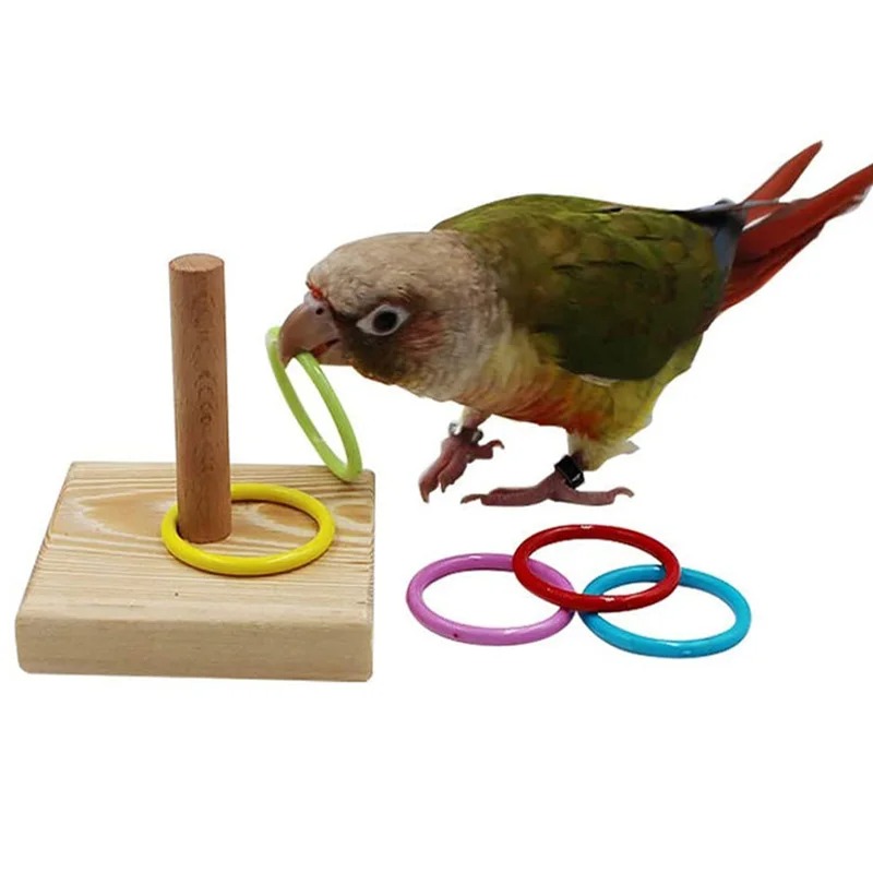 Discover the Perfect Playtime Companion for Your Feathered Friend!
Get it here ——> bingopets.shop/colorful-parro…

#parrotfishcapitaloftheworld #parrotfishjungle #fypviraltwitter #Hashtag