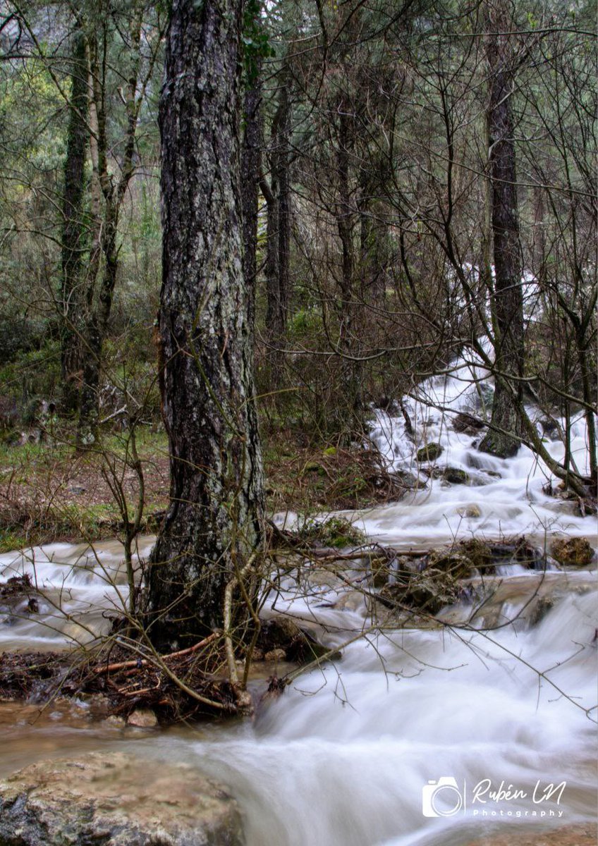 PaquiPerezCs's tweet photo. 📍Reventón del Río Mundo 🤍💦💦

Uno de los fenómenos de agua más bonitos de España.  

Cada vez es más difícil poder verlo, pero hoy tras unos días de lluvias, así estaban.

@MeteoHellin @tiempobrasero @SierraSeguraTur https://t.co/ydgIZB14RL