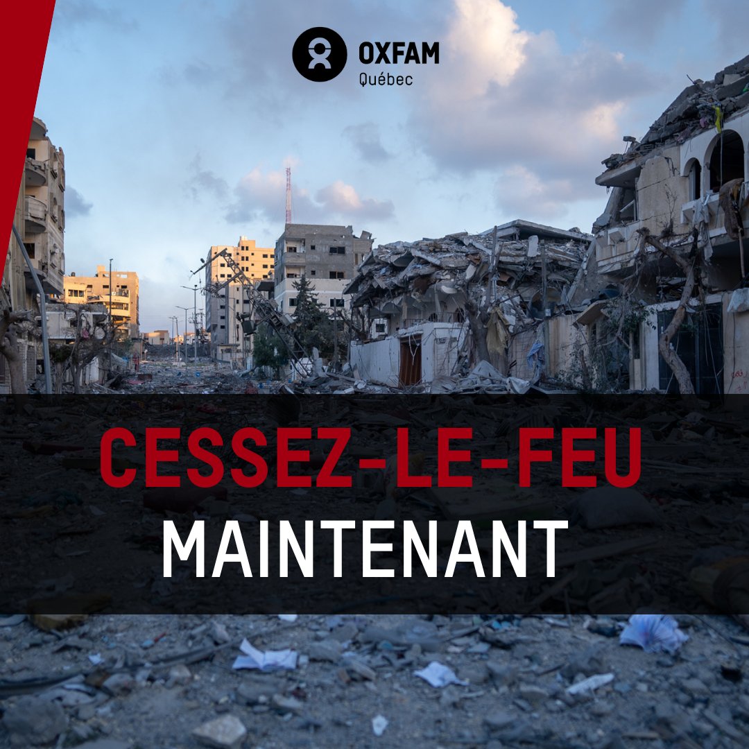 🚨 #GAZA | Continuons de nous mobiliser pour un cessez-le-feu permanent. Bientôt 6 mois que cette catastrophe humanitaire se déroule sous nos yeux. Les Gazaouis ne peuvent plus attendre. ❌ Signez notre pétition 👉 tinyurl.com/487pbtvn #Ceasefirenow #Cessezlefeu