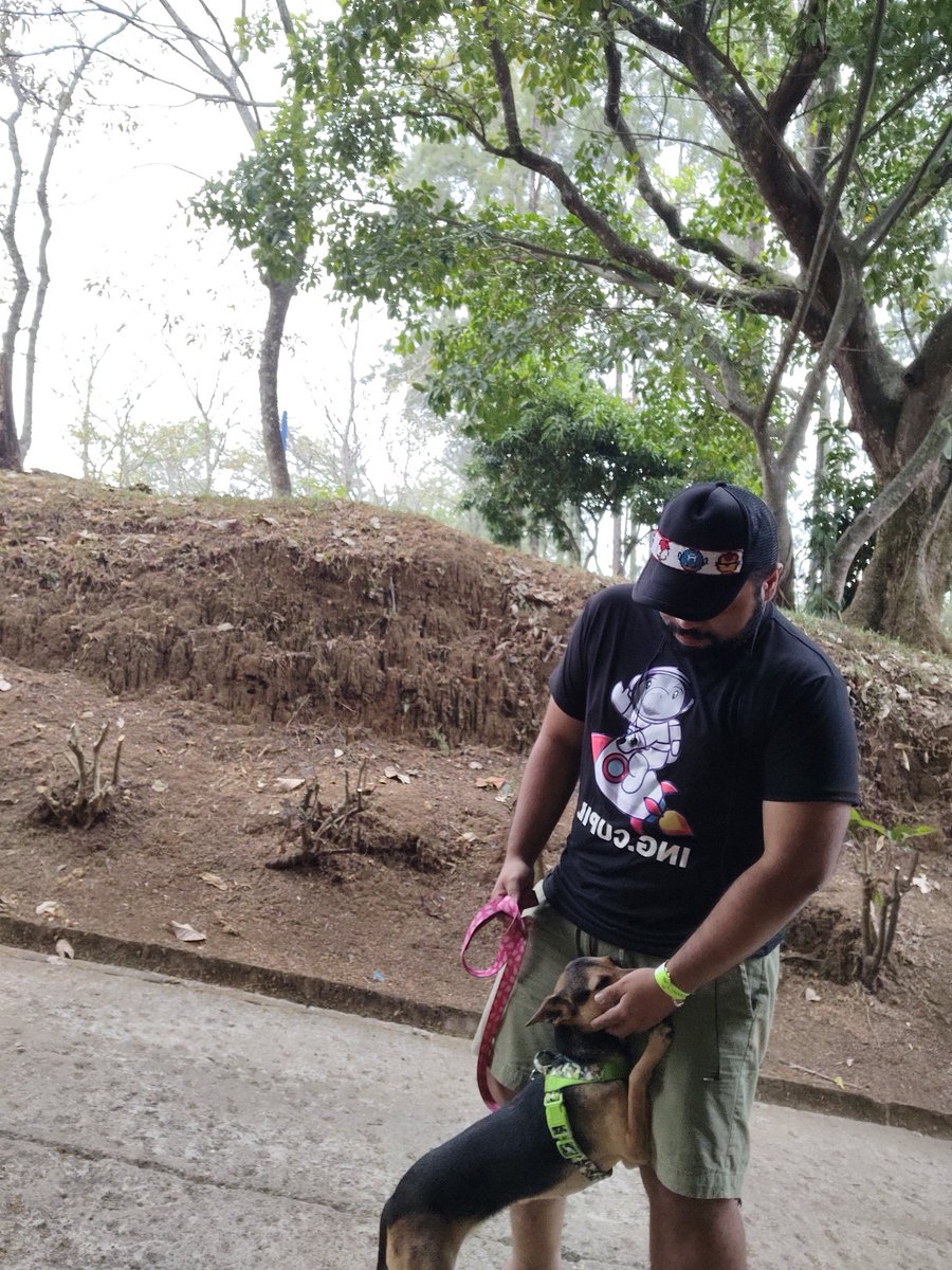cupil026's tweet photo. Un día agradable en la Provincia de San José, Costa Rica 🫧💧🌊🐕🇨🇷 https://t.co/7DoKvIPus0
