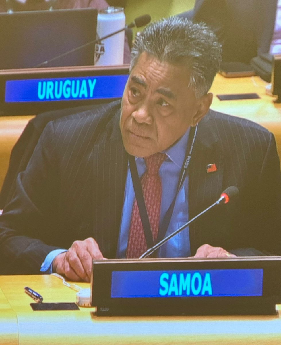 #AOSIS believes that the #MVI is an idea whose time has come. A pleasure speaking at the informal meeting of the @UN #GeneralAssembly's high-level panel on the development of a Multidimensional Poverty Index #MVI for #SIDS. Statement 👉bit.ly/3Q4cAOP