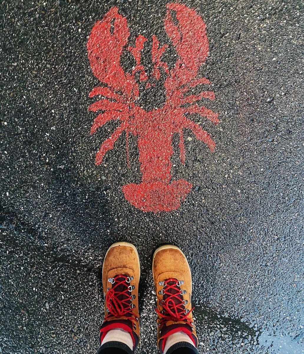 Wherever the lobster goes, we follow. 🦞 #VisitBarHarbor 📸 via Instagram: weavethroughtheworld 📍: Bar Harbor, Maine