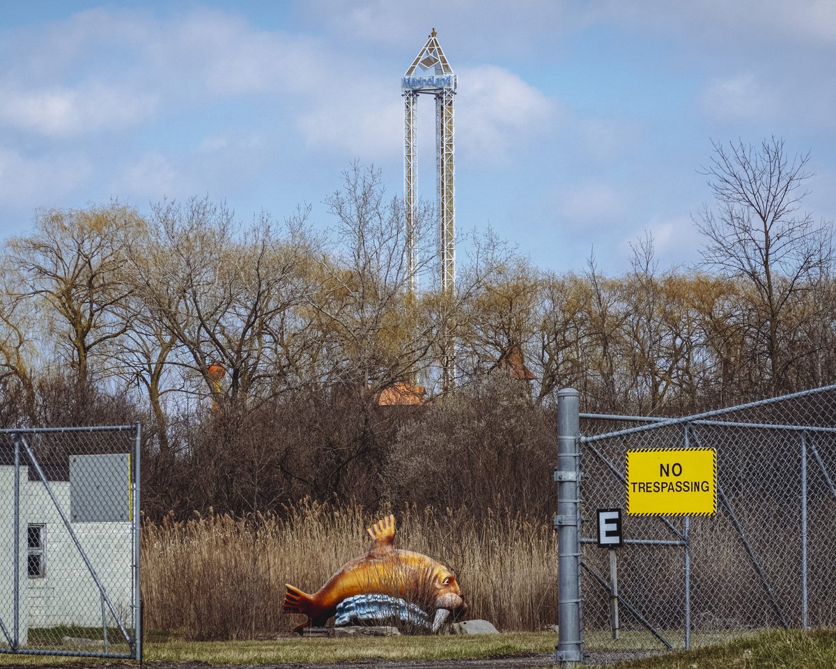 Marineland, where there have been 17 whale deaths since 2019. I saw this walrus figure near a service entrance to the park and the huge sign in downtown Niagara Falls, Canada. Photos for @Reuters