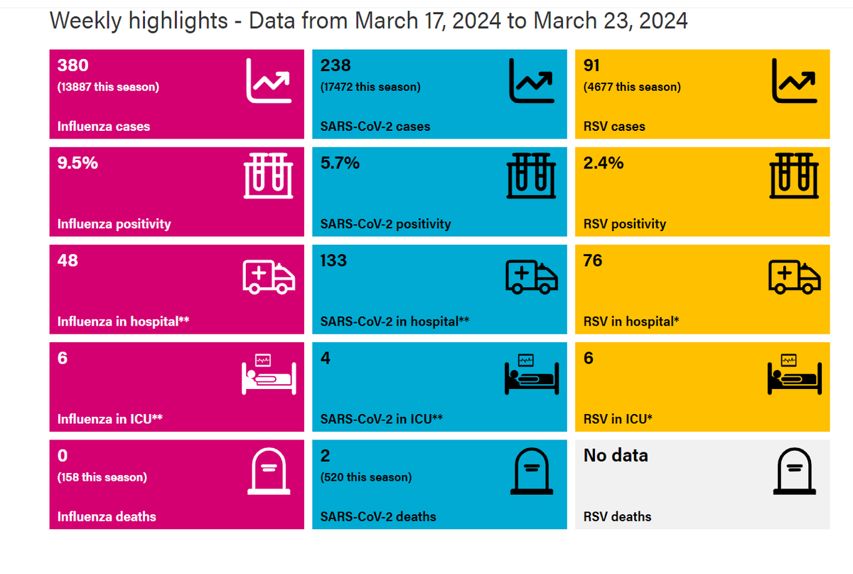 Alberta's weekly respiratory virus update👇 COVID: Deaths this season: 520 (up from 507 last wk) In hospital (primary/contributing): 133/4 (128/6) FLU: Deaths: 158 (157) In hosp (primary/contr) 48/6 (28/3) RSV: In hosp (incl incidental) 76/6 (94/11)