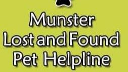 Please support my GoFundMe campaign: gofund.me/b0c62b2f #GoFundMe