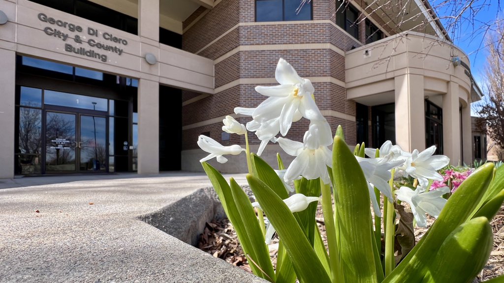 🌷My first #spring flower post of the season. #Broomfield City & County Building. 🌷#cowx @CBSNewsColorado @broomfield #SpringFlowers