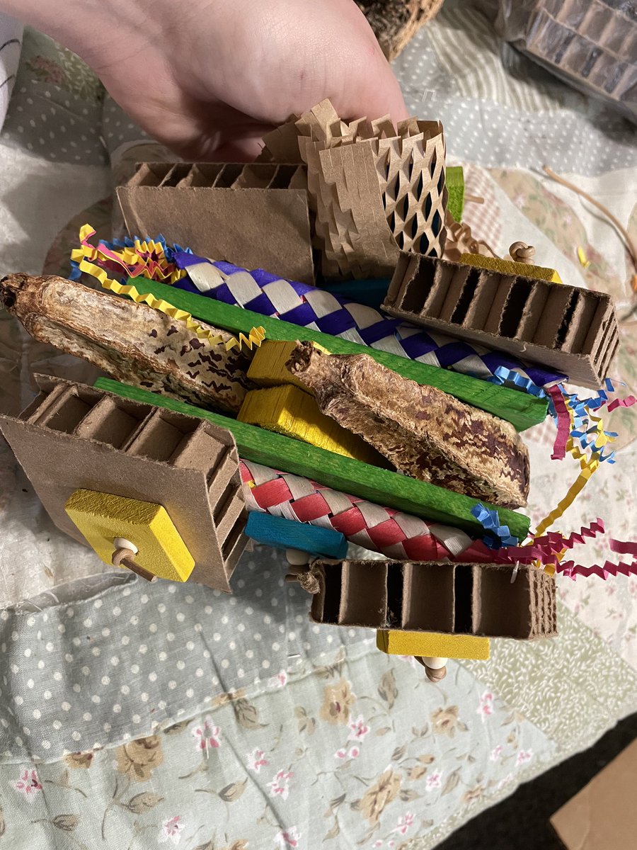 $50 bird toy mystery boxes! I have the materials to make toys for birds of all sizes. US Shipping will likely be the usps flat rate boxes unfortunately but I may be able to find a cheaper box. Box contents will be based on your birds preferences.

Hit me up!