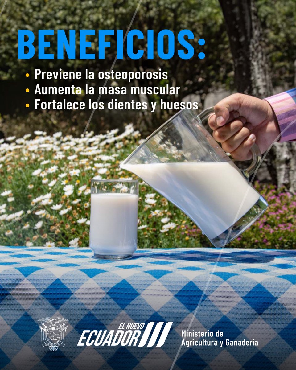 AgriculturaEc's tweet photo. Los lácteos contienen varios nutrientes que previenen enfermedades y fortalecen tu cuerpo. Además, posee propiedades anticancerígenas y reduce el colesterol en la sangre. Apoya a los productores de #ElNuevoEcuador tomando leche. https://t.co/Heybmvhia3