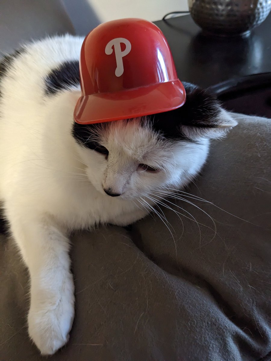 Delayed a day, but ready for baseball! #Phillies #CatsOfTwitter