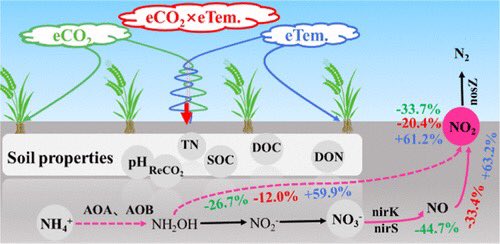 Warming-Induced Stimulation of Soil N2O Emissions Counteracted by Elevated CO2 from Nine-Year Agroecosystem Temperature and Free Air Carbon Dioxide Enrichment | Environmental Science & Technology pubs.acs.org/doi/10.1021/ac… @ACSPublications 

The effect of CO2 enrichment completely