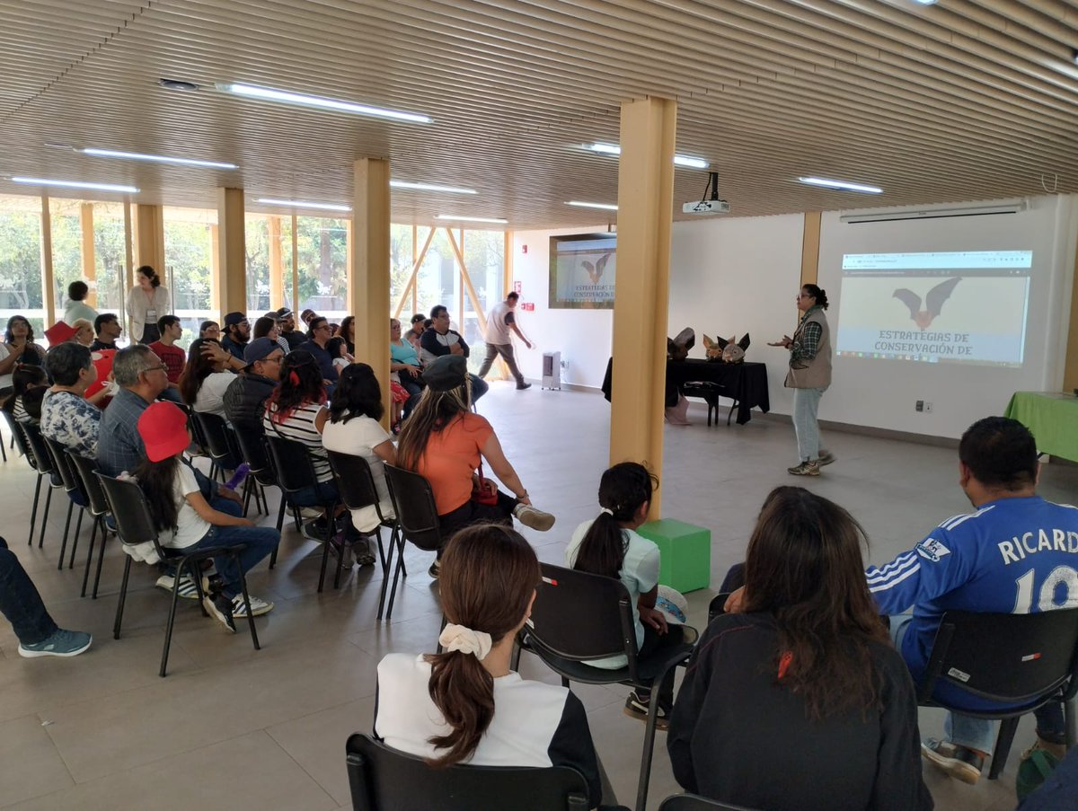 ZoologicosCDMX's tweet image. Así se vivió el primer día de #Quiróptera en el #ZoológicoDeChapultepec.