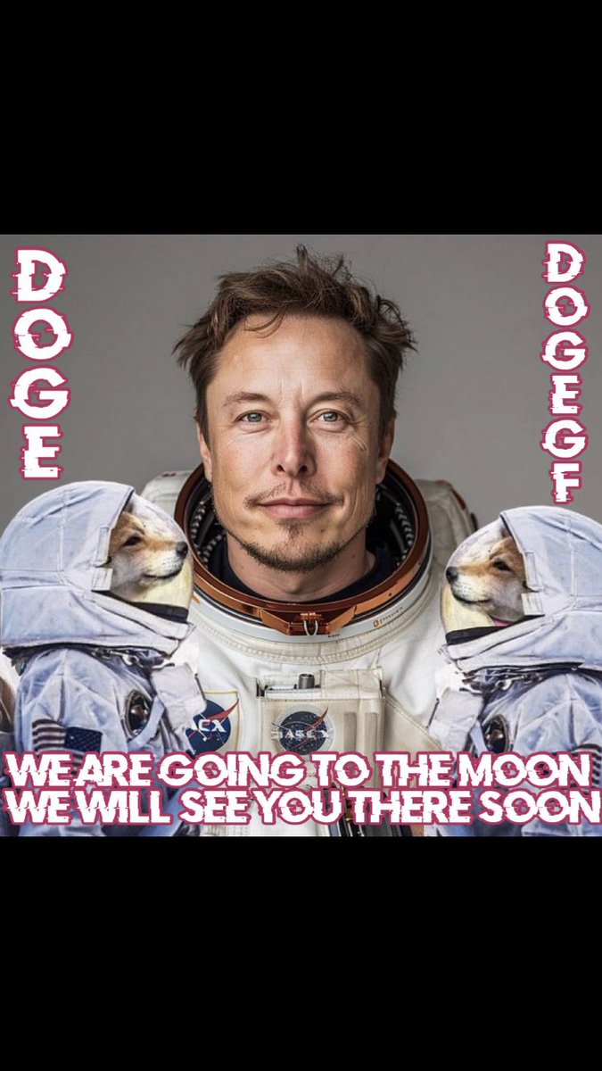 DogeGF_Pimp tweet media