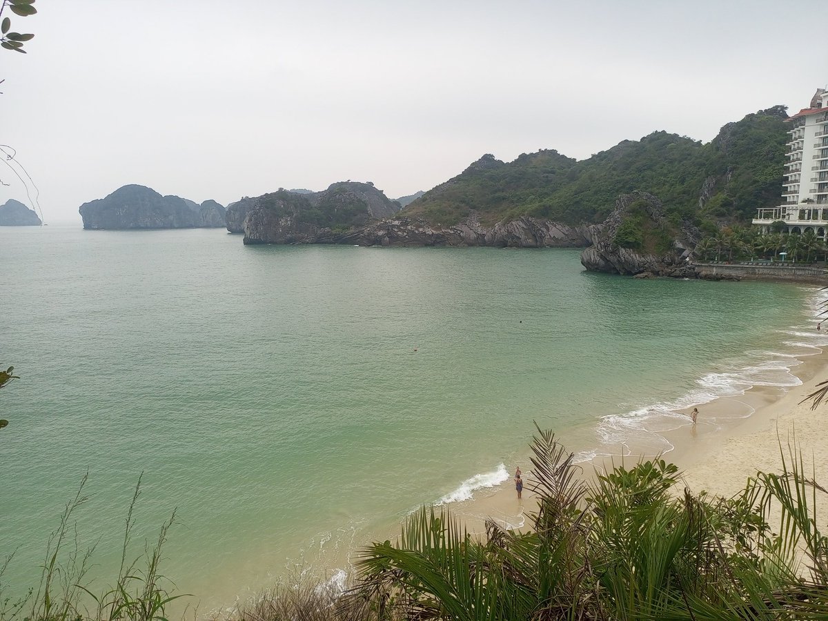 ducmo18's tweet image. Hải Phòng
Mọi người hay nói biển Hải Phòng nước không được trong lắm, mình cũng nghĩ thế, nhưng khi đến Cát Bà thì lại hoàn toàn khác. Biển Cát Bà trong vắt, sạch và đẹp vô cùng.