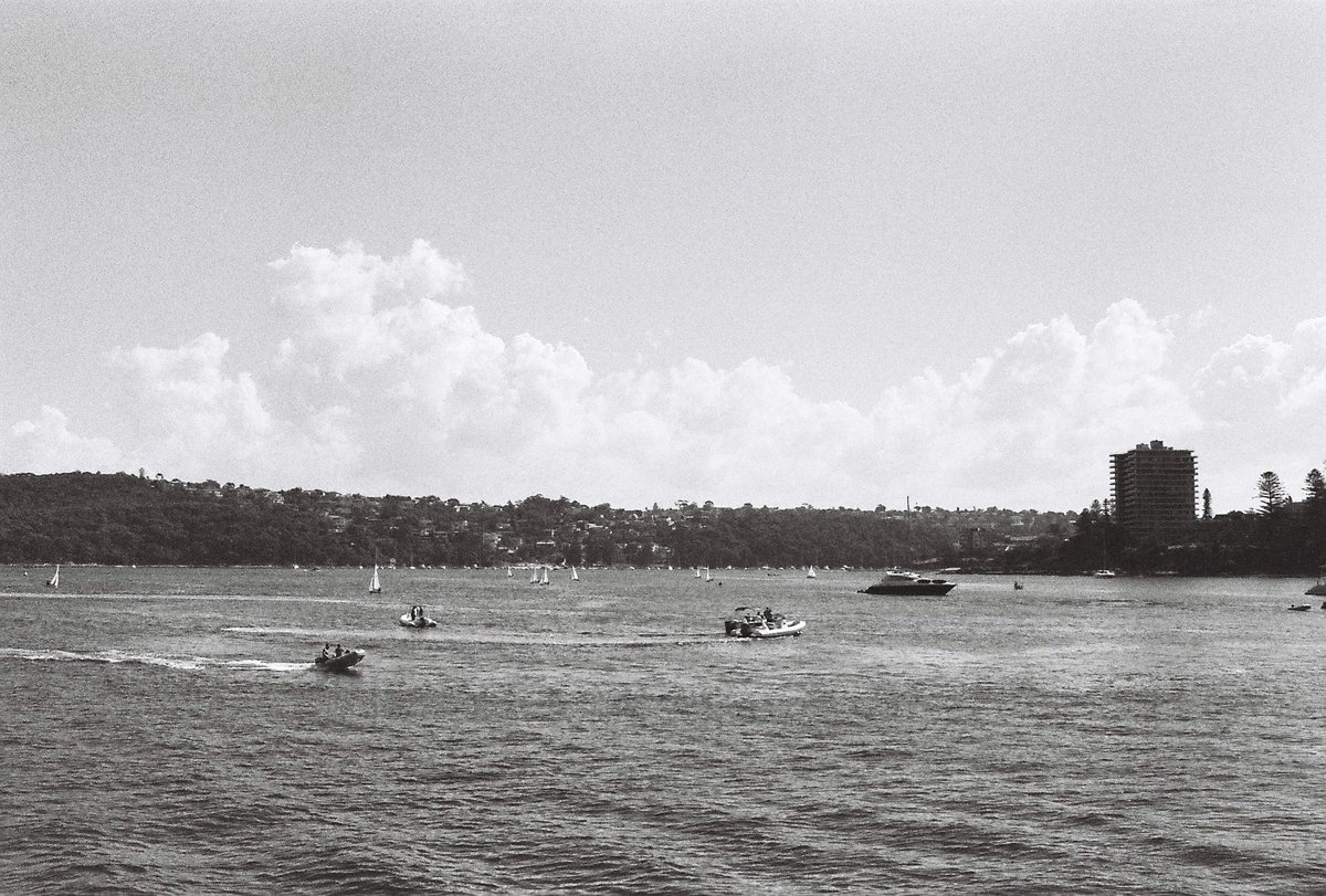 fooly_jooly's tweet photo. Manly Wharf, 35mm film, Ilford HP5 https://t.co/sYK1LwrPTh