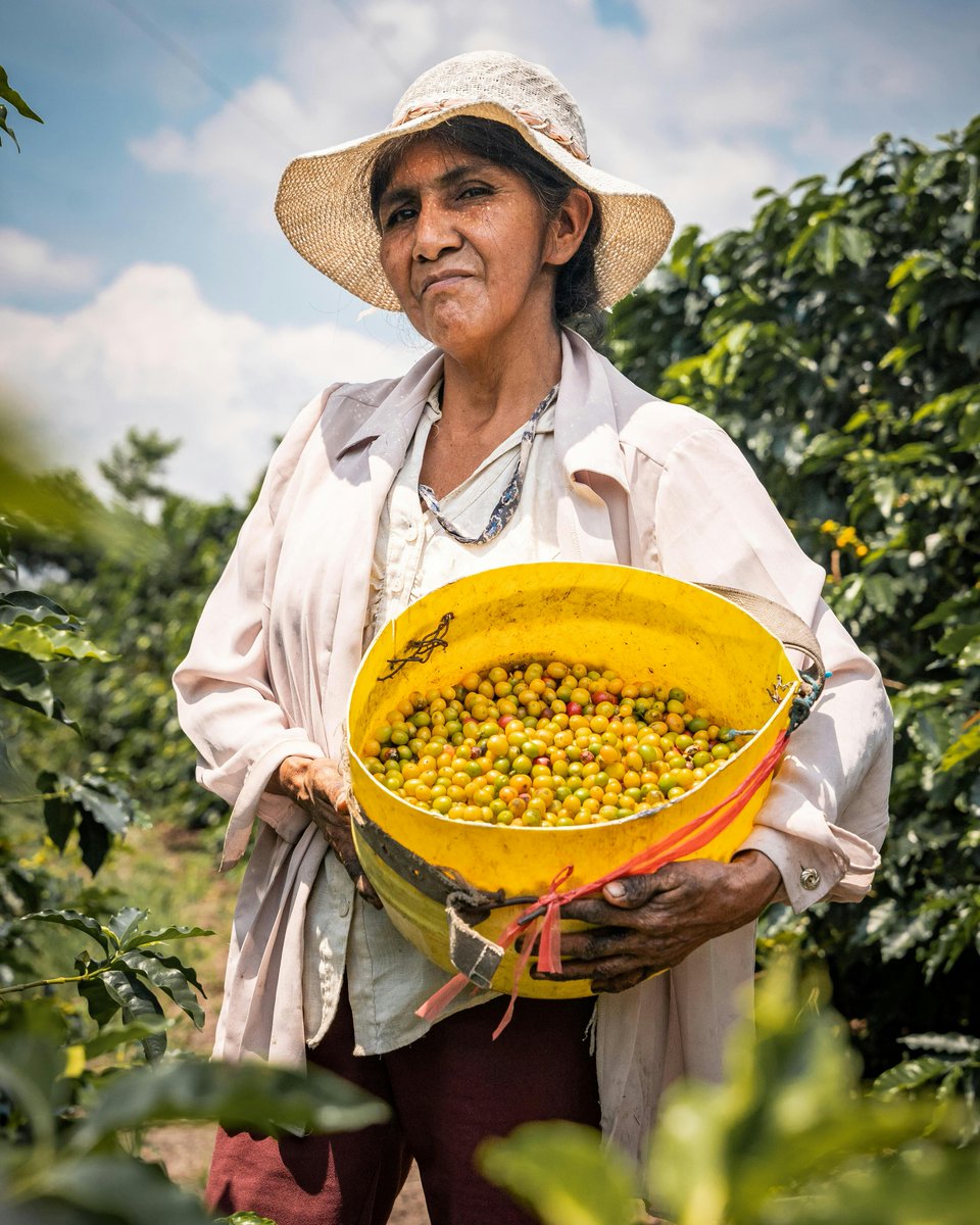 This #WomensHistoryMonth, CRLA recognizes the significant role that women in agricultural and rural California play in our communities. In 2019, CRLA's advocacy led to better protections for pregnant workers statewide: ow.ly/ZzZ050R3v9e