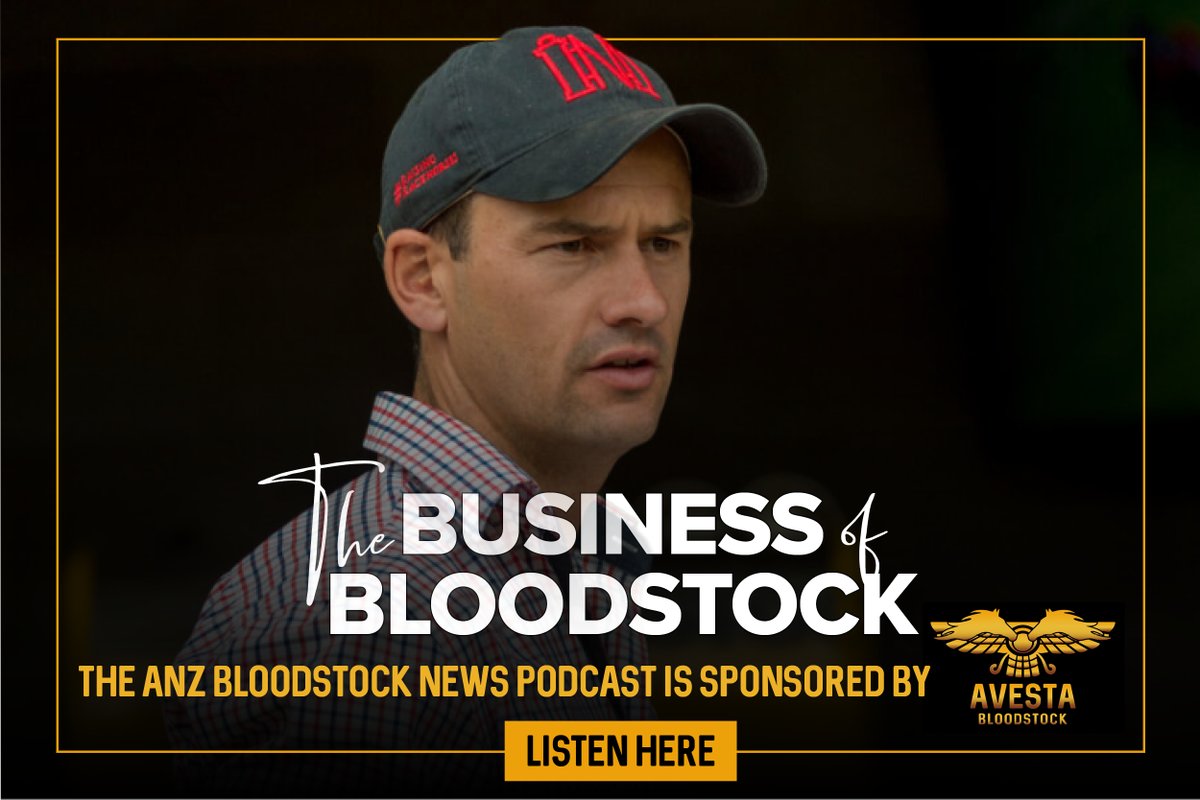 ANZ News tweet media