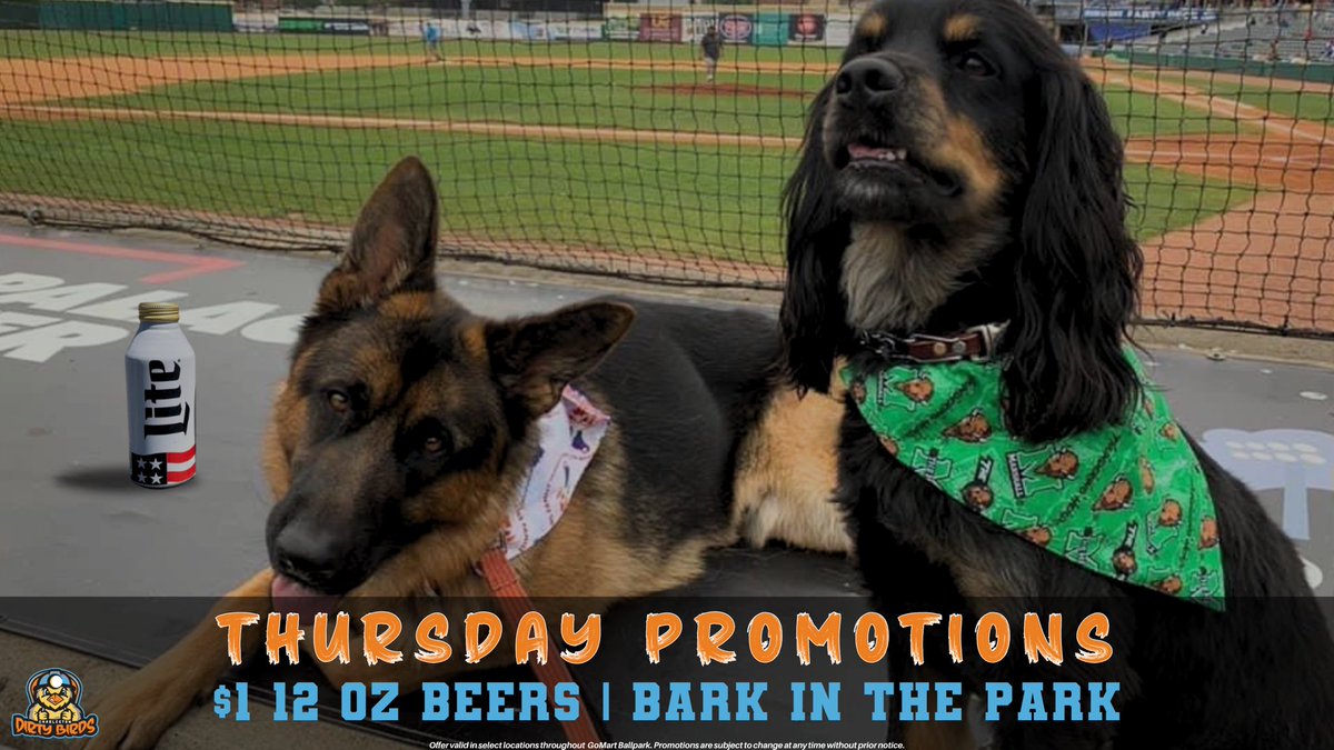 Your Thursdays are about to get a wholeeee lot better 🍻 🐶 Bring your best fur friend out to GoMart Ballpark every Thursday during the season & enjoy select $1 12 ounce beer for yourself 💁‍♀️ That’s a win win🤩 See all the exact dates at bit.ly/db2024promos 🗓️ #staydirty…