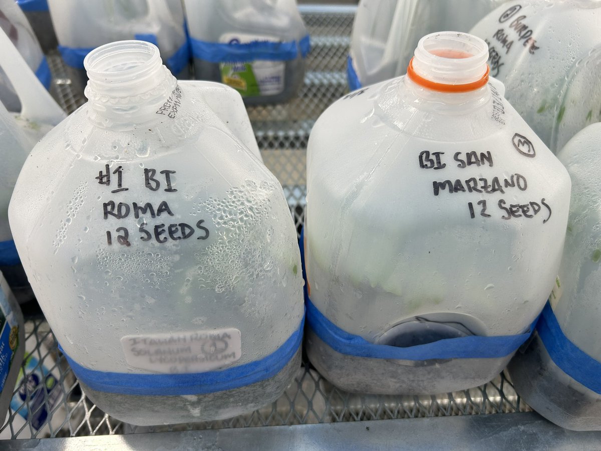 Adam Pease tweet media