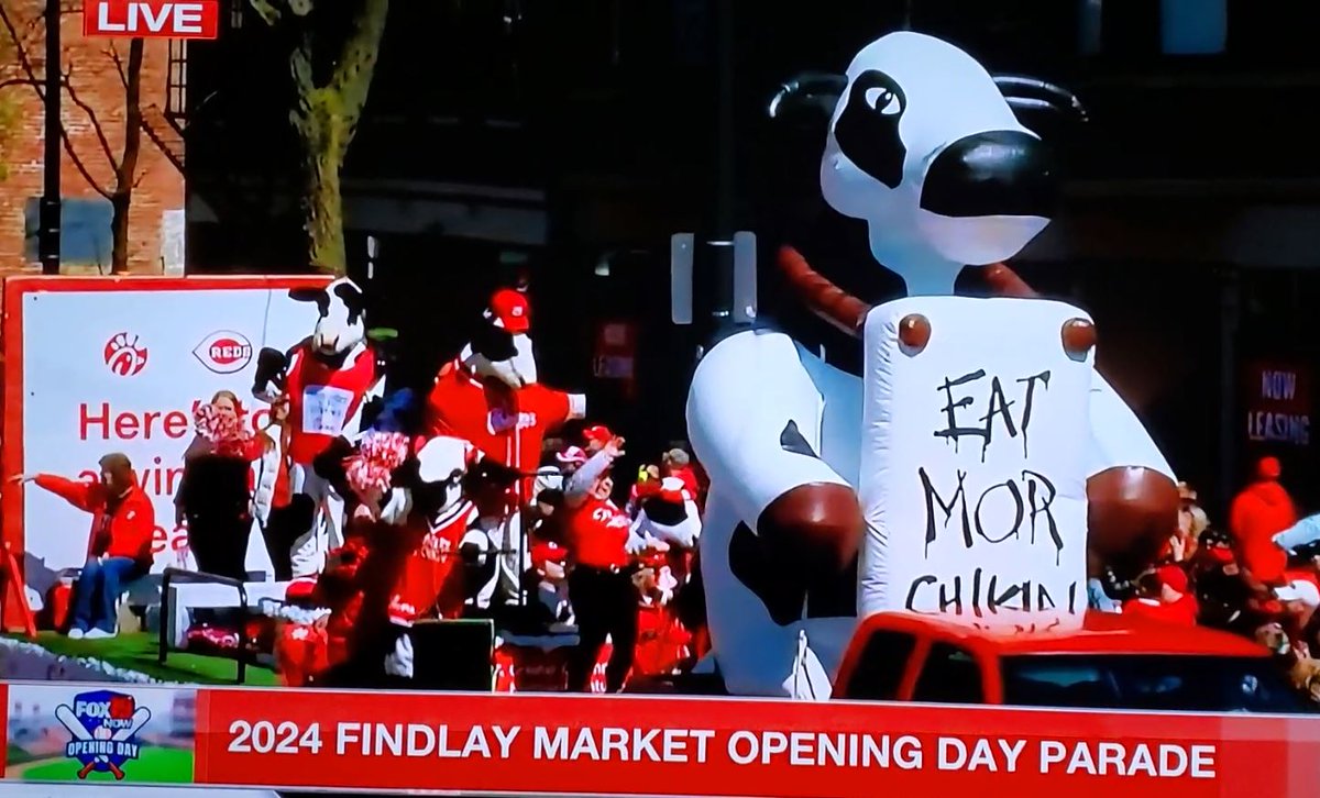 Our herd of cows celebrated the @Reds win and a great #OpeningDay parade at @FindlayMarket