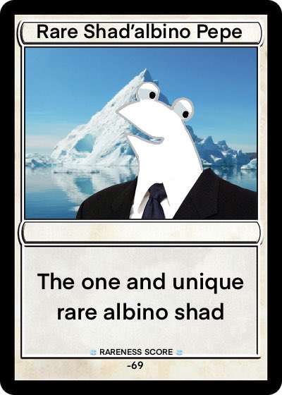 BillyNFTees's tweet photo. @SHADTOKEN @robo4046serie23 #ShadMemeContest
4th
Rare Shadβalbino Pepe https://t.co/8D83fzPHvo