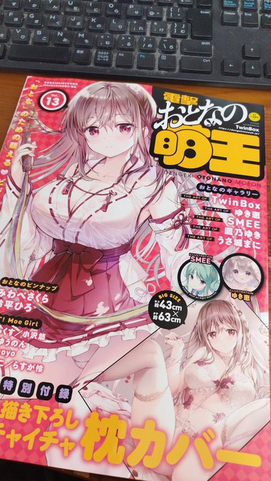 電撃おとなの萌王、買いました 