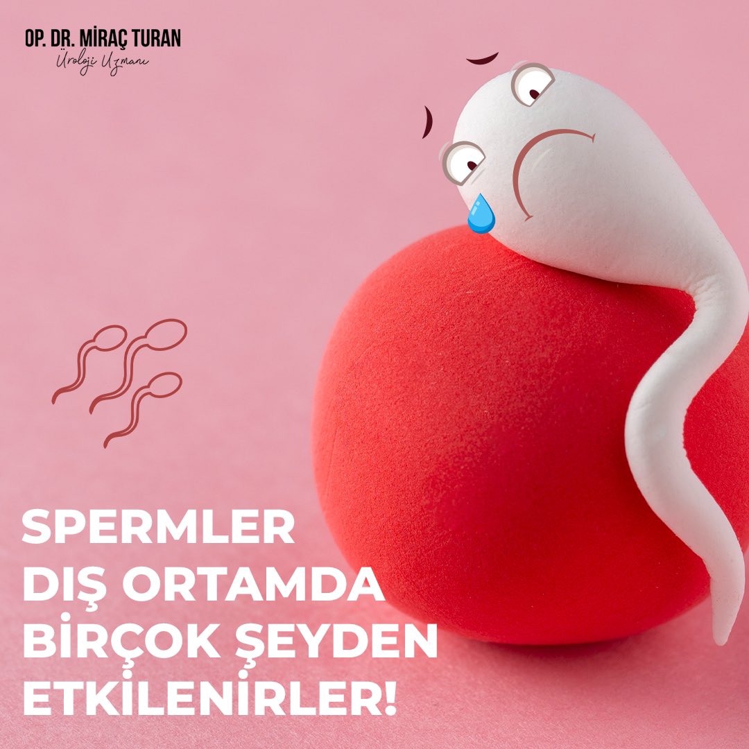 ✅ Sperm kaç dakika, ne kadar yaşar? Bu soruya cevap vermek güç çünkü spermler dış ortamda birçok şeyden etkilenirler. Örneğin aşırı sıcak ve soğuk spermlerin ölmesine neden olur.