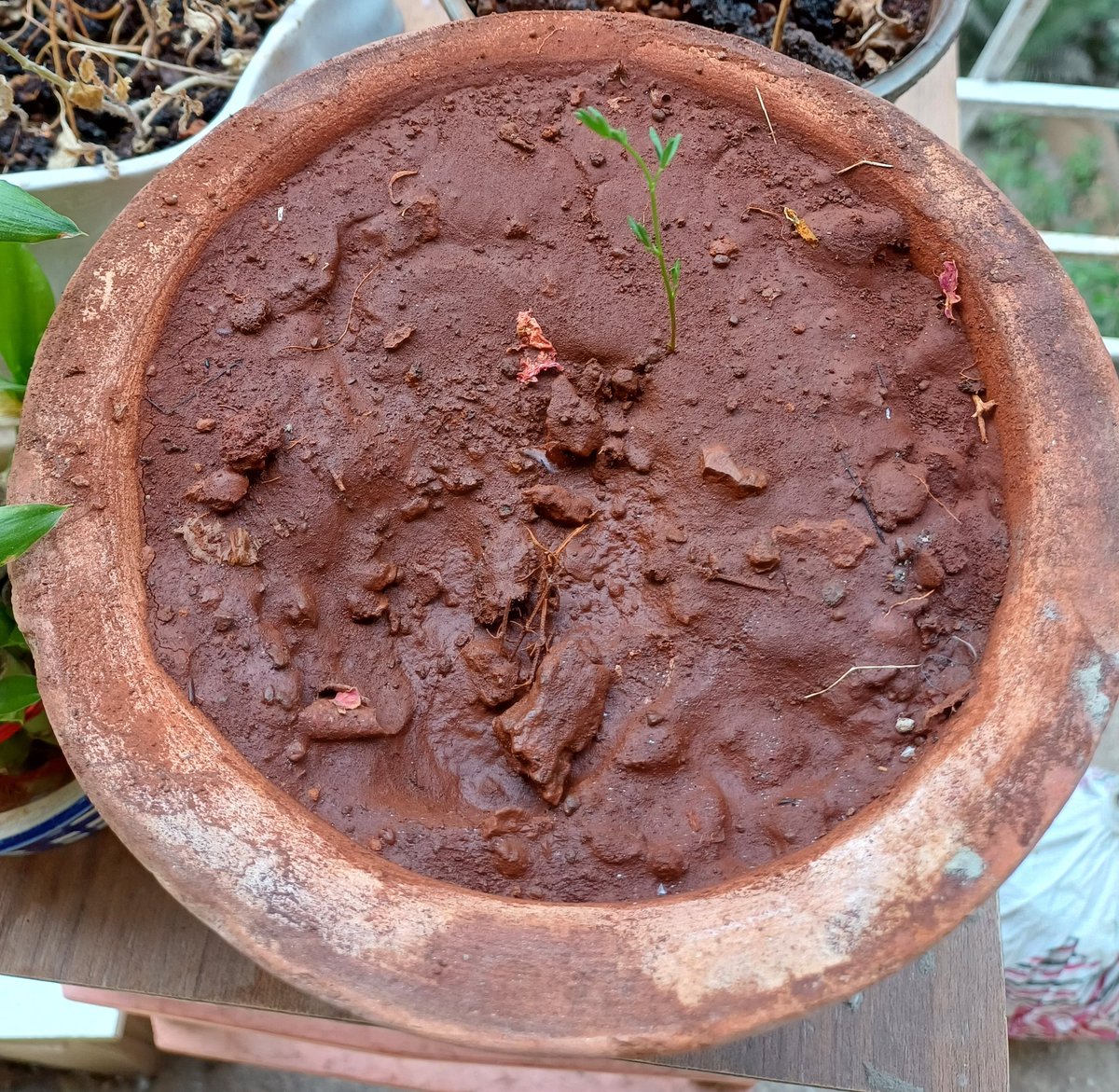 Archana Pai Kulkarni tweet media
